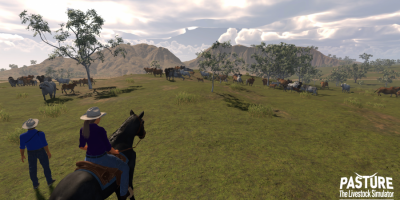 Pasture Salty Games