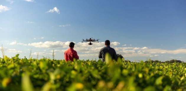 Drone in a field