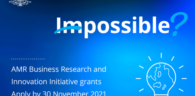 Business Research and Innovation Initiative