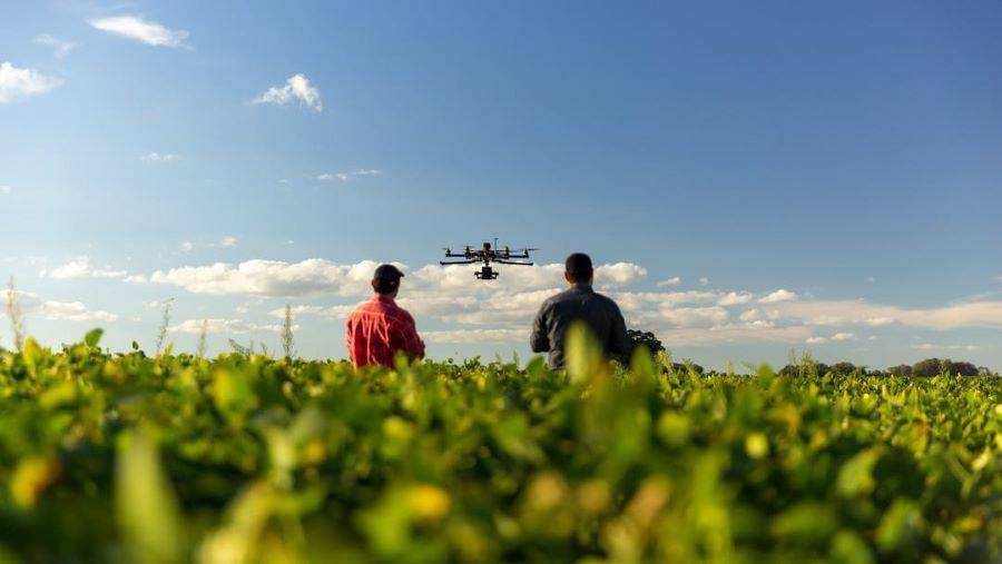 Drone in a field